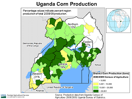 images\UG\cropprod\Uganda_Corn_preview.png
